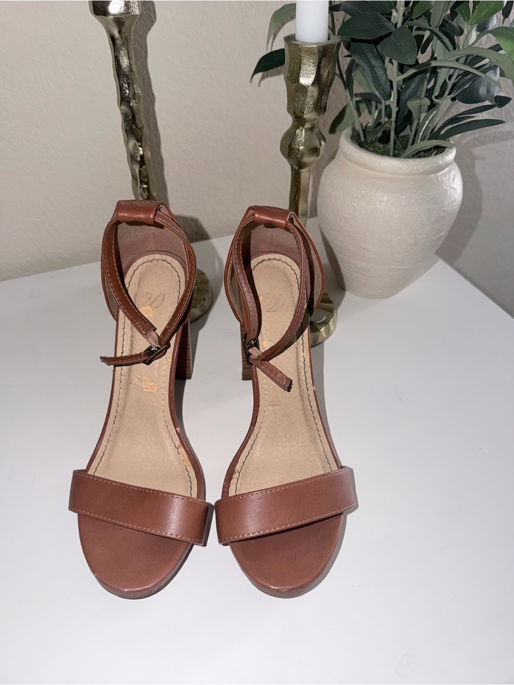 Women’s Brown Ankle-Strap Block Heel Sandals